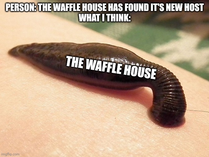 Parasite | PERSON: THE WAFFLE HOUSE HAS FOUND IT'S NEW HOST
WHAT I THINK:; THE WAFFLE HOUSE | image tagged in parasite | made w/ Imgflip meme maker