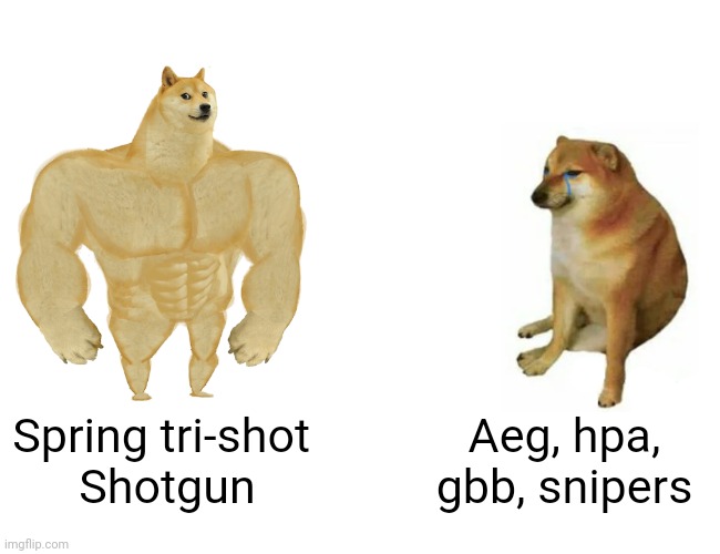 I know it. You know it. | Spring tri-shot 
Shotgun; Aeg, hpa, gbb, snipers | image tagged in memes,buff doge vs cheems,funny,airsoft,stop reading the tags,i did nazi that coming | made w/ Imgflip meme maker