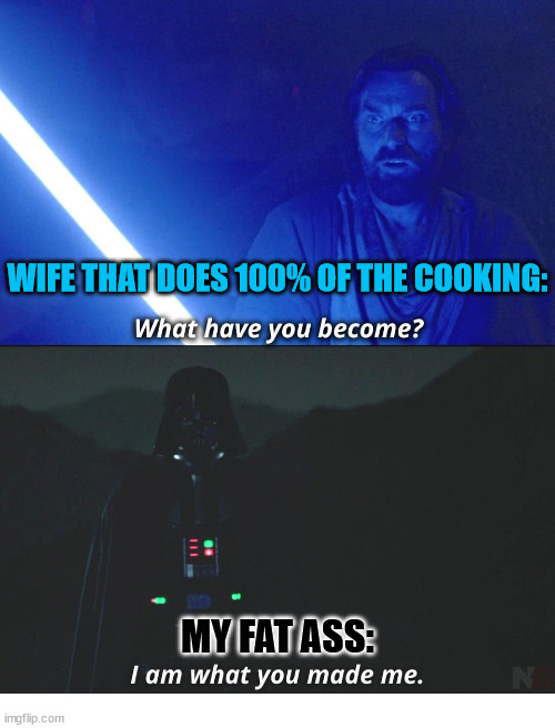 You are what you eat | WIFE THAT DOES 100% OF THE COOKING:; MY FAT ASS: | image tagged in i am what you made me,star wars,obi wan,vader,fat,wife | made w/ Imgflip meme maker