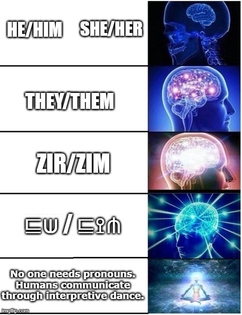 Pronouns |  SHE/HER; HE/HIM; THEY/THEM; ZIR/ZIM; ⊑⟒ / ⊑⟟⋔; No one needs pronouns. Humans communicate through interpretive dance. | image tagged in expanding brain 5 panel | made w/ Imgflip meme maker