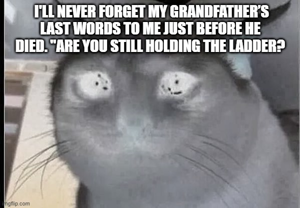 crying cat | I'LL NEVER FORGET MY GRANDFATHER’S LAST WORDS TO ME JUST BEFORE HE DIED. "ARE YOU STILL HOLDING THE LADDER? | image tagged in crying cat | made w/ Imgflip meme maker