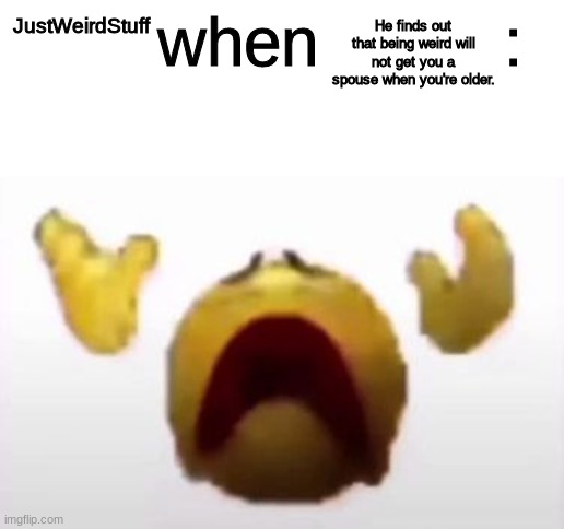 User When Offended: | He finds out that being weird will not get you a spouse when you're older. JustWeirdStuff | image tagged in user when offended | made w/ Imgflip meme maker