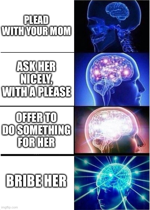 Expanding Brain Meme | PLEAD WITH YOUR MOM; ASK HER NICELY, WITH A PLEASE; OFFER TO DO SOMETHING FOR HER; BRIBE HER | image tagged in memes,expanding brain | made w/ Imgflip meme maker