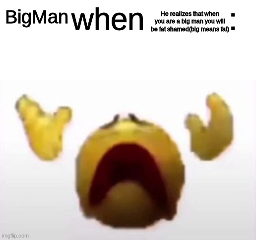 User When Offended: | He realizes that when you are a big man you will be fat shamed(big means fat); BigMan | image tagged in user when offended | made w/ Imgflip meme maker