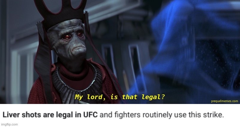 Ok How is this legal in UFC | image tagged in my lord is that legal,ufc | made w/ Imgflip meme maker