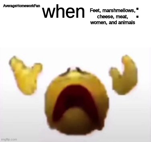 User When Offended: | Feet, marshmellows, cheese, meat, women, and animals; AverageHomeworkFan | image tagged in user when offended | made w/ Imgflip meme maker