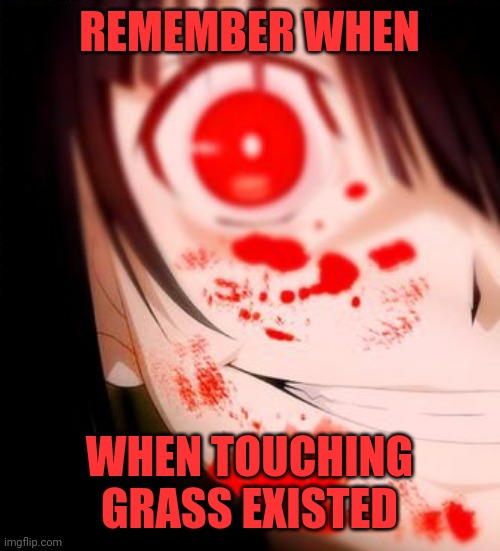 Good days ngl | REMEMBER WHEN; WHEN TOUCHING GRASS EXISTED | made w/ Imgflip meme maker