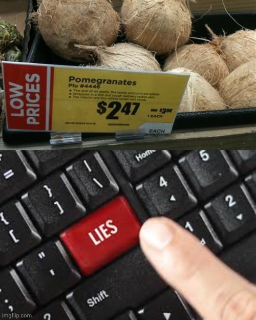 Such lies | image tagged in lies,coconuts,coconut,grocery store,you had one job,memes | made w/ Imgflip meme maker