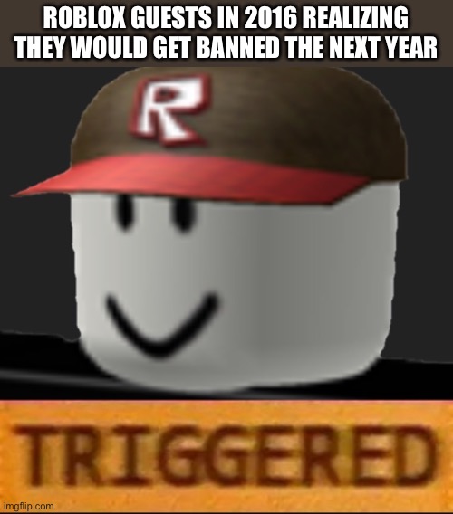 Roblox Triggered | ROBLOX GUESTS IN 2016 REALIZING THEY WOULD GET BANNED THE NEXT YEAR | image tagged in roblox triggered | made w/ Imgflip meme maker