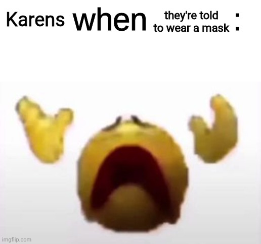 Karens: Noooo | they're told to wear a mask; Karens | image tagged in user when offended,mask,karens,karen,memes,masks | made w/ Imgflip meme maker