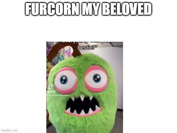 i love furcorn | FURCORN MY BELOVED | made w/ Imgflip meme maker