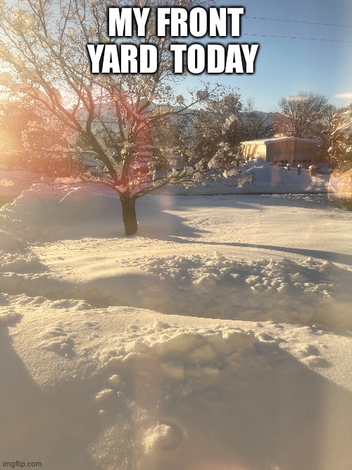 MY FRONT YARD  TODAY | made w/ Imgflip meme maker