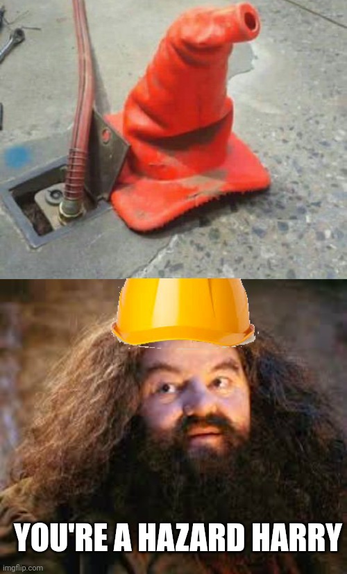 THE SORTING CONE | YOU'RE A HAZARD HARRY | image tagged in harry potter,hagrid,harry potter meme | made w/ Imgflip meme maker