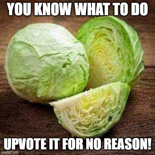 Cabbage gets more love than me. | YOU KNOW WHAT TO DO; UPVOTE IT FOR NO REASON! | image tagged in cabbage | made w/ Imgflip meme maker
