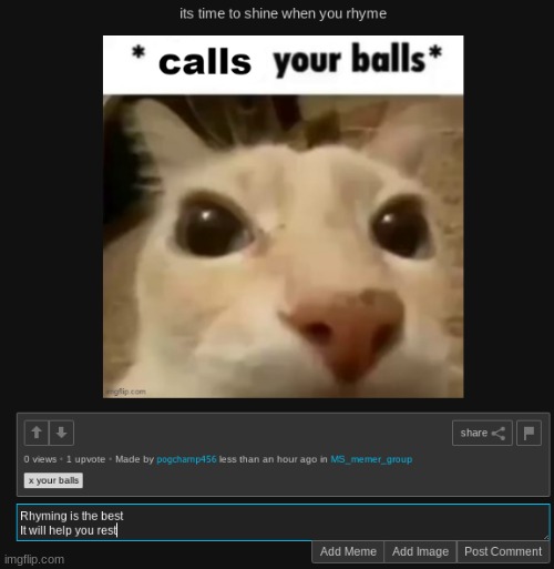 made w/ Imgflip meme maker