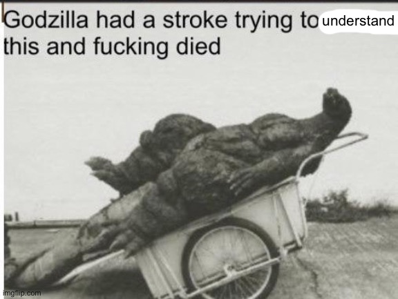 Godzilla | understand | image tagged in godzilla | made w/ Imgflip meme maker