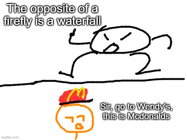 The opposite of a firefly is a waterfall Sir, go to Wendy's, this is Mcdonalds | made w/ Imgflip meme maker