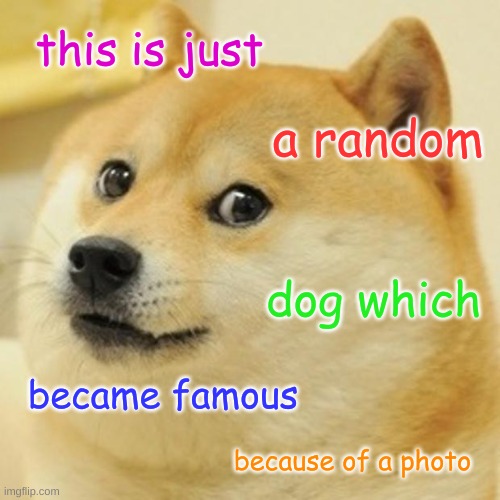 Doge | this is just; a random; dog which; became famous; because of a photo | image tagged in memes,doge | made w/ Imgflip meme maker