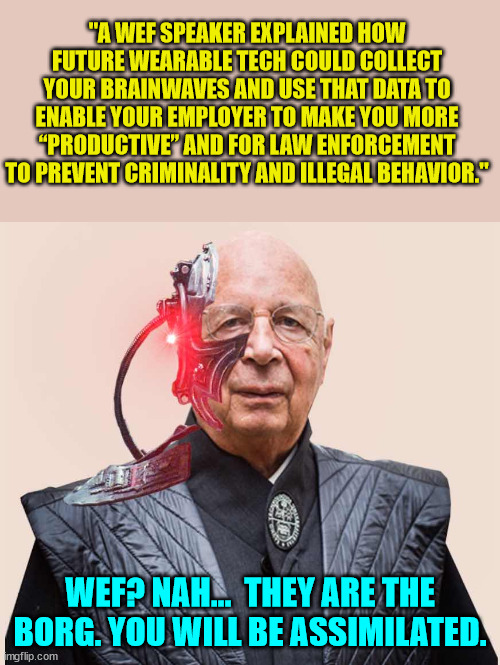 You Will Be Assimilated. | "A WEF SPEAKER EXPLAINED HOW FUTURE WEARABLE TECH COULD COLLECT YOUR BRAINWAVES AND USE THAT DATA TO ENABLE YOUR EMPLOYER TO MAKE YOU MORE “PRODUCTIVE” AND FOR LAW ENFORCEMENT TO PREVENT CRIMINALITY AND ILLEGAL BEHAVIOR."; WEF? NAH...  THEY ARE THE BORG. YOU WILL BE ASSIMILATED. | image tagged in nwo police state | made w/ Imgflip meme maker