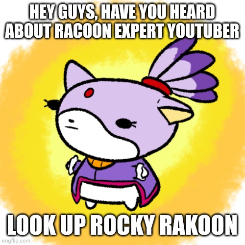 Blaze | HEY GUYS, HAVE YOU HEARD ABOUT RACOON EXPERT YOUTUBER; LOOK UP ROCKY RAKOON | image tagged in blaze | made w/ Imgflip meme maker