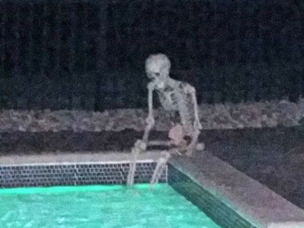 High Quality Skeleton pool Blank Meme Template