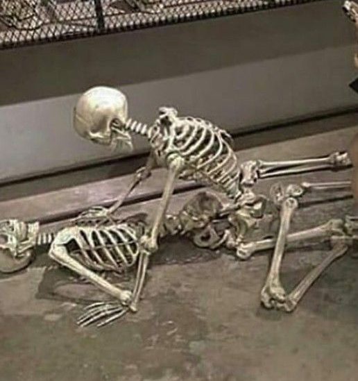 Skeleton sex Blank Meme Template