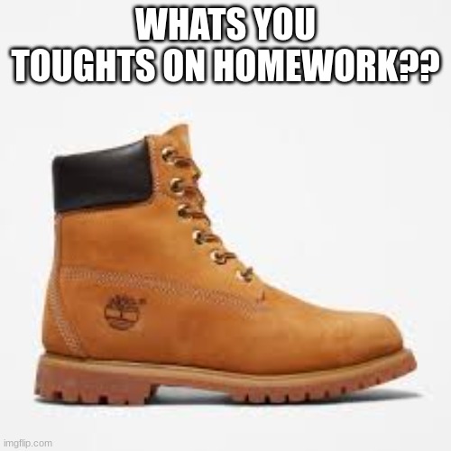 WHATS YOU TOUGHTS ON HOMEWORK?? | made w/ Imgflip meme maker