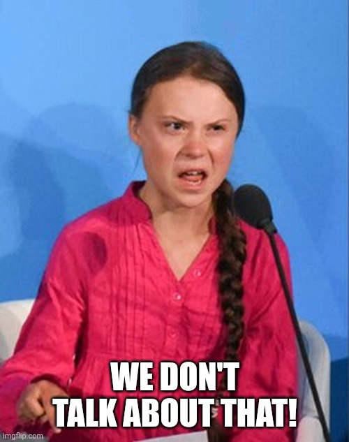 Greta Thunberg how dare you | WE DON'T TALK ABOUT THAT! | image tagged in greta thunberg how dare you | made w/ Imgflip meme maker