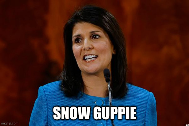 snowguppie | SNOW GUPPIE | image tagged in nikki haley,snow guppie | made w/ Imgflip meme maker