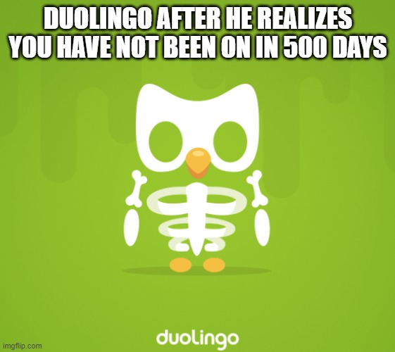 ..... | DUOLINGO AFTER HE REALIZES YOU HAVE NOT BEEN ON IN 500 DAYS | image tagged in skeleton duo | made w/ Imgflip meme maker