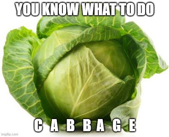 you know what to do | YOU KNOW WHAT TO DO; C   A   B   B  A   G   E | image tagged in cabbage | made w/ Imgflip meme maker