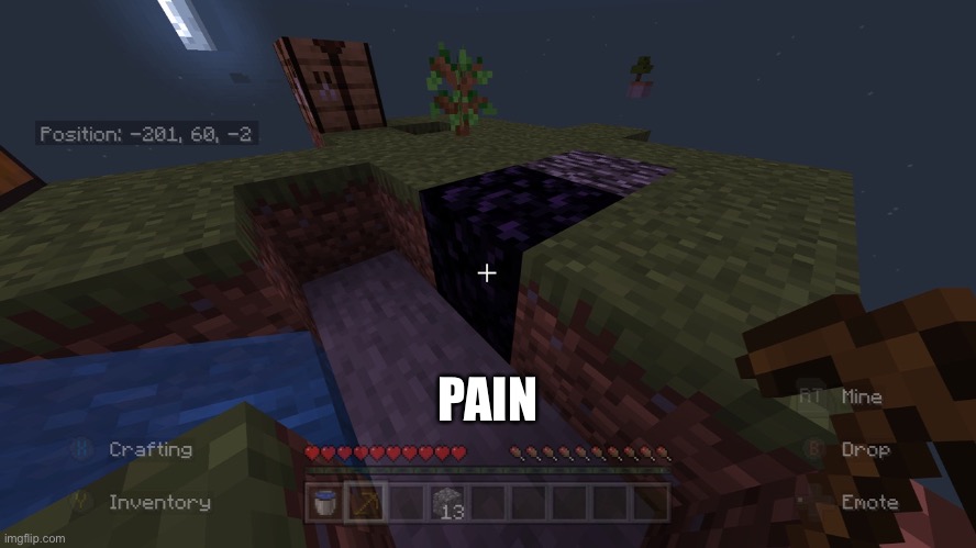 PAIN | image tagged in minecraft | made w/ Imgflip meme maker