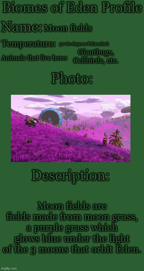 No photos have been kept, so we used a picture from the 2016 game No Man's Sky with a similar landscape. | Moon fields; 50-80 degrees Fahrenheit; Giantbugs, Cellbirds, etc. Moon fields are fields made from moon grass, a purple grass which glows blue under the light of the 3 moons that orbit Eden. | image tagged in biomes of eden profile | made w/ Imgflip meme maker