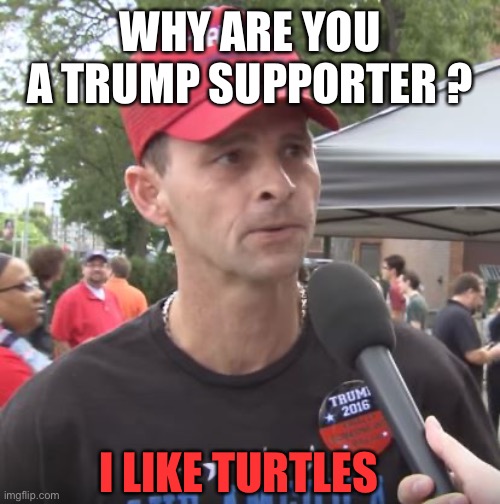 Trump Supporter Imgflip 