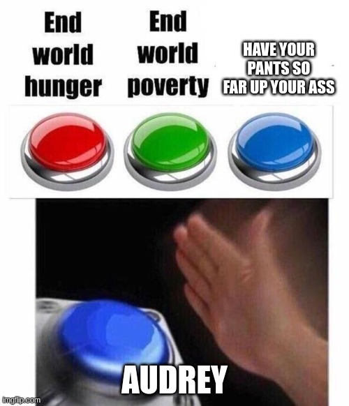 3 Button Decision | HAVE YOUR PANTS SO FAR UP YOUR ASS; AUDREY | image tagged in 3 button decision | made w/ Imgflip meme maker
