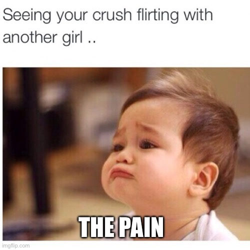 The pain | THE PAIN | image tagged in this sucks,wimpering baby | made w/ Imgflip meme maker