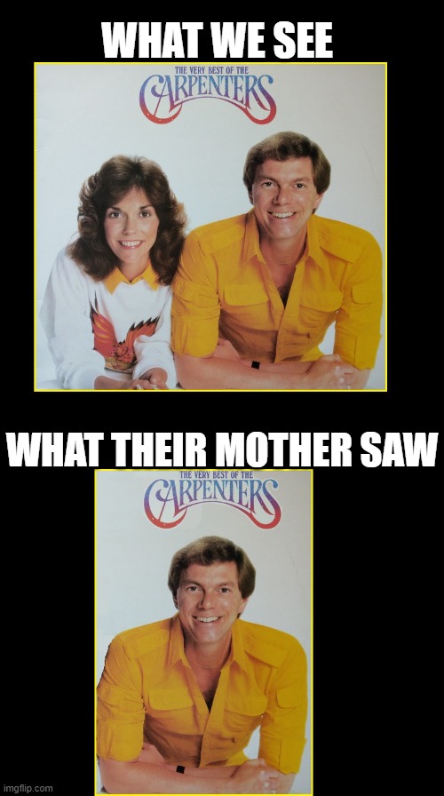 They were great together, even if the mother didn't understand... | WHAT WE SEE; WHAT THEIR MOTHER SAW | image tagged in the carpenters,karen carpenter,richard carpenter,mother,change my mind,music | made w/ Imgflip meme maker