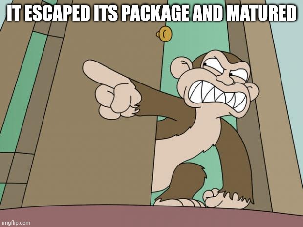 evil monkey | IT ESCAPED ITS PACKAGE AND MATURED | image tagged in evil monkey | made w/ Imgflip meme maker