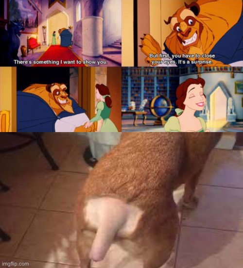 B&B surprises | image tagged in beauty and the beast,show me the beast | made w/ Imgflip meme maker
