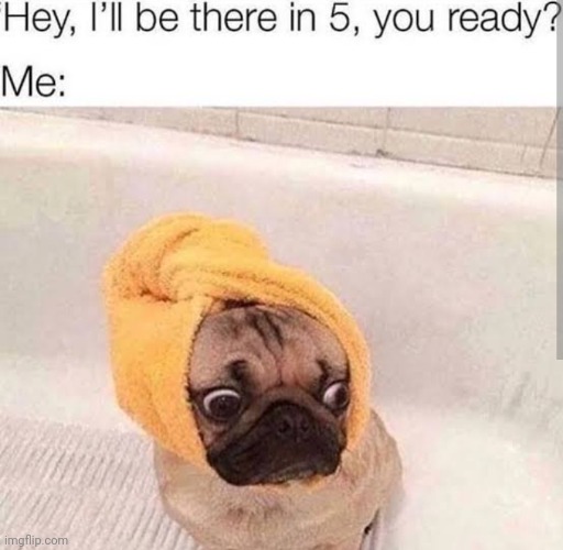 So true | image tagged in doggo | made w/ Imgflip meme maker