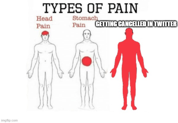 Getting cancelled in Twitter sucks ass!!!! | GETTING CANCELLED IN TWITTER | image tagged in types of pain,twitter | made w/ Imgflip meme maker