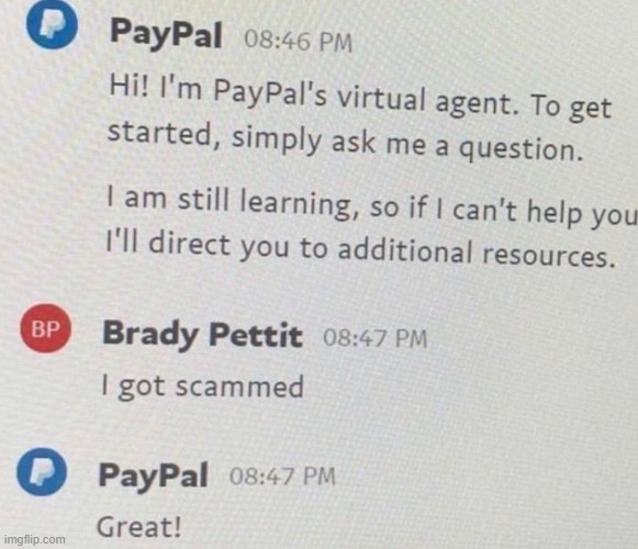 PayPal has done wrong here | image tagged in paypal,bot fails,robots,robot,bots,pay pal | made w/ Imgflip meme maker