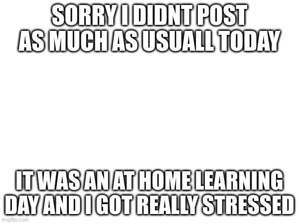sorry | SORRY I DIDNT POST AS MUCH AS USUALL TODAY; IT WAS AN AT HOME LEARNING DAY AND I GOT REALLY STRESSED | image tagged in sorry | made w/ Imgflip meme maker