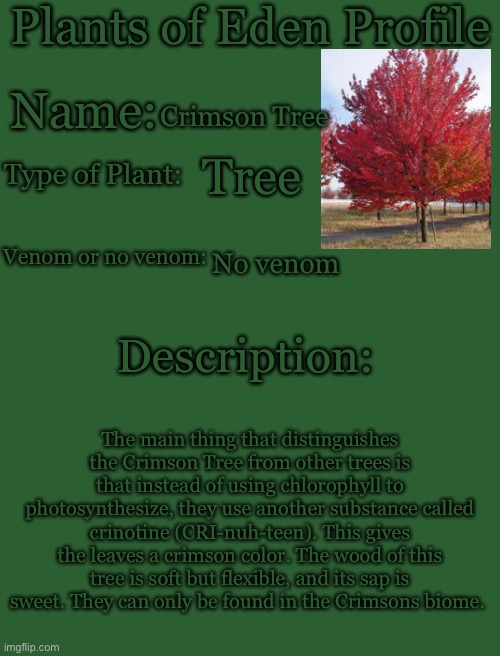 Plants of Eden Profile | Crimson Tree; Tree; No venom; The main thing that distinguishes the Crimson Tree from other trees is that instead of using chlorophyll to photosynthesize, they use another substance called crinotine (CRI-nuh-teen). This gives the leaves a crimson color. The wood of this tree is soft but flexible, and its sap is sweet. They can only be found in the Crimsons biome. | image tagged in plants of eden profile | made w/ Imgflip meme maker