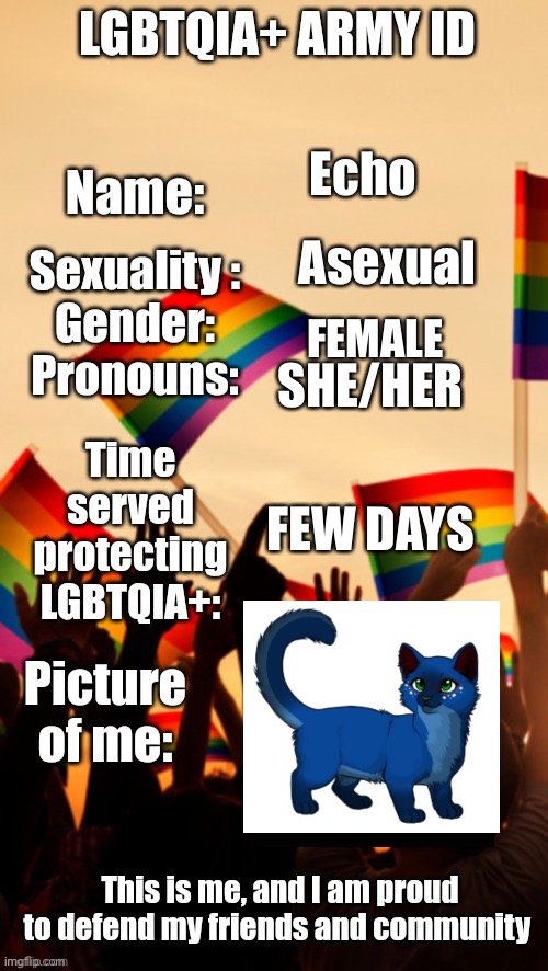 I will fight for my kind | Echo; Asexual; FEMALE; SHE/HER; FEW DAYS | image tagged in lgbtqia army id | made w/ Imgflip meme maker