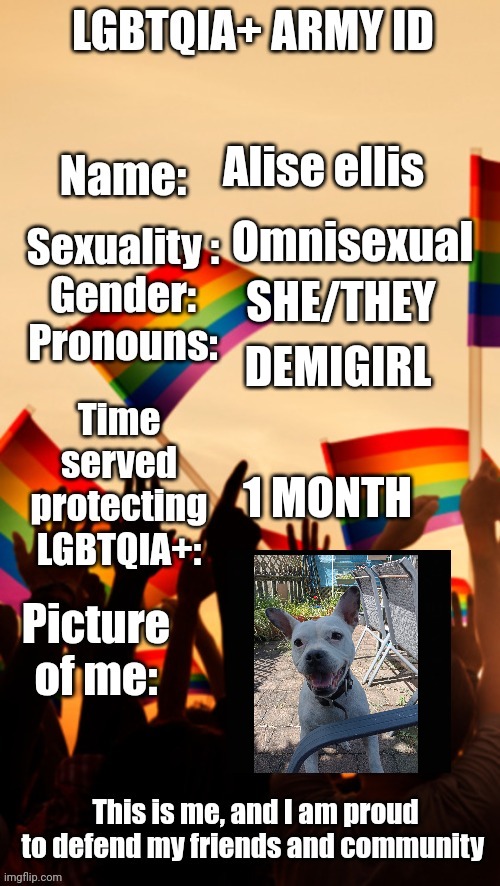 Imma put a picture of my dog jnstead | Alise ellis; Omnisexual; SHE/THEY; DEMIGIRL; 1 MONTH | image tagged in lgbtqia army id | made w/ Imgflip meme maker