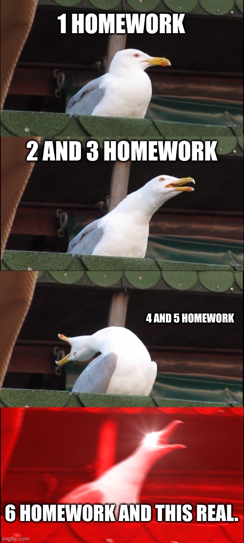 homework sucks. | 1 HOMEWORK; 2 AND 3 HOMEWORK; 4 AND 5 HOMEWORK; 6 HOMEWORK AND THIS REAL. | image tagged in memes,inhaling seagull | made w/ Imgflip meme maker