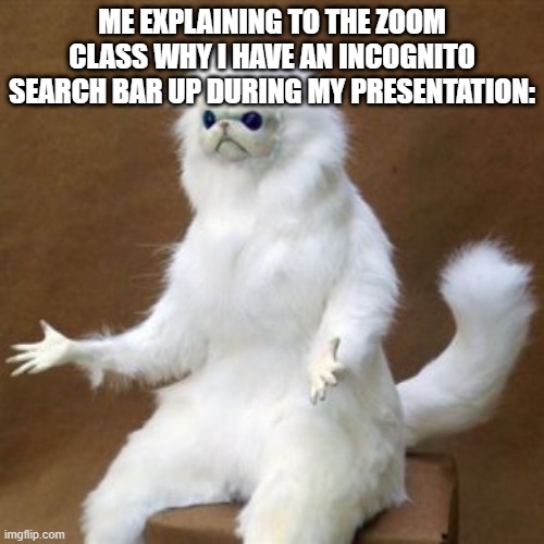 zoom | ME EXPLAINING TO THE ZOOM CLASS WHY I HAVE AN INCOGNITO SEARCH BAR UP DURING MY PRESENTATION: | image tagged in and just like that,zoom | made w/ Imgflip meme maker