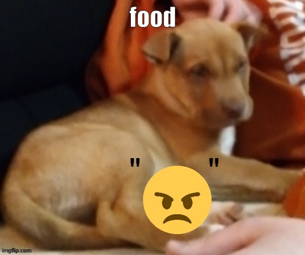 TY POGCHAMP | food | image tagged in ty pogchamp | made w/ Imgflip meme maker