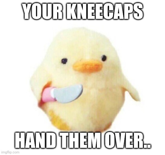 Kneecaps | YOUR KNEECAPS; HAND THEM OVER.. | image tagged in duck with knife | made w/ Imgflip meme maker